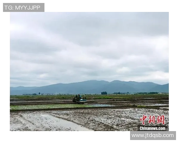 北京滑板队心理素质分析与表现研究探讨 北京滑板队心理素质分析与表现研究探讨